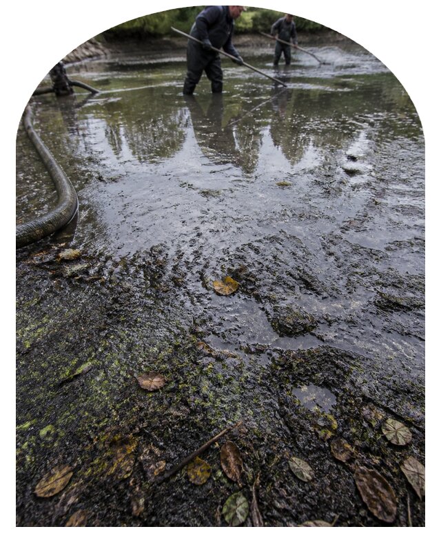 Очистка пруда в Петрозаводске от ила мусора и водорослей с вывозом